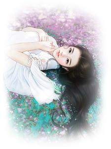 向晚晚白景川是什么书