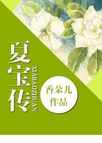夏宝传ⅰ前世