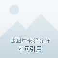 决斗大师动漫