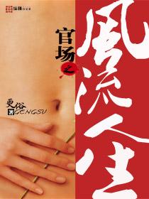 官场风光