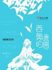 西奥vancci原版