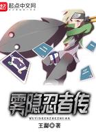 雾影忍者